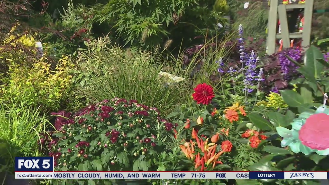 Fall foliage and flowers in Fall colors