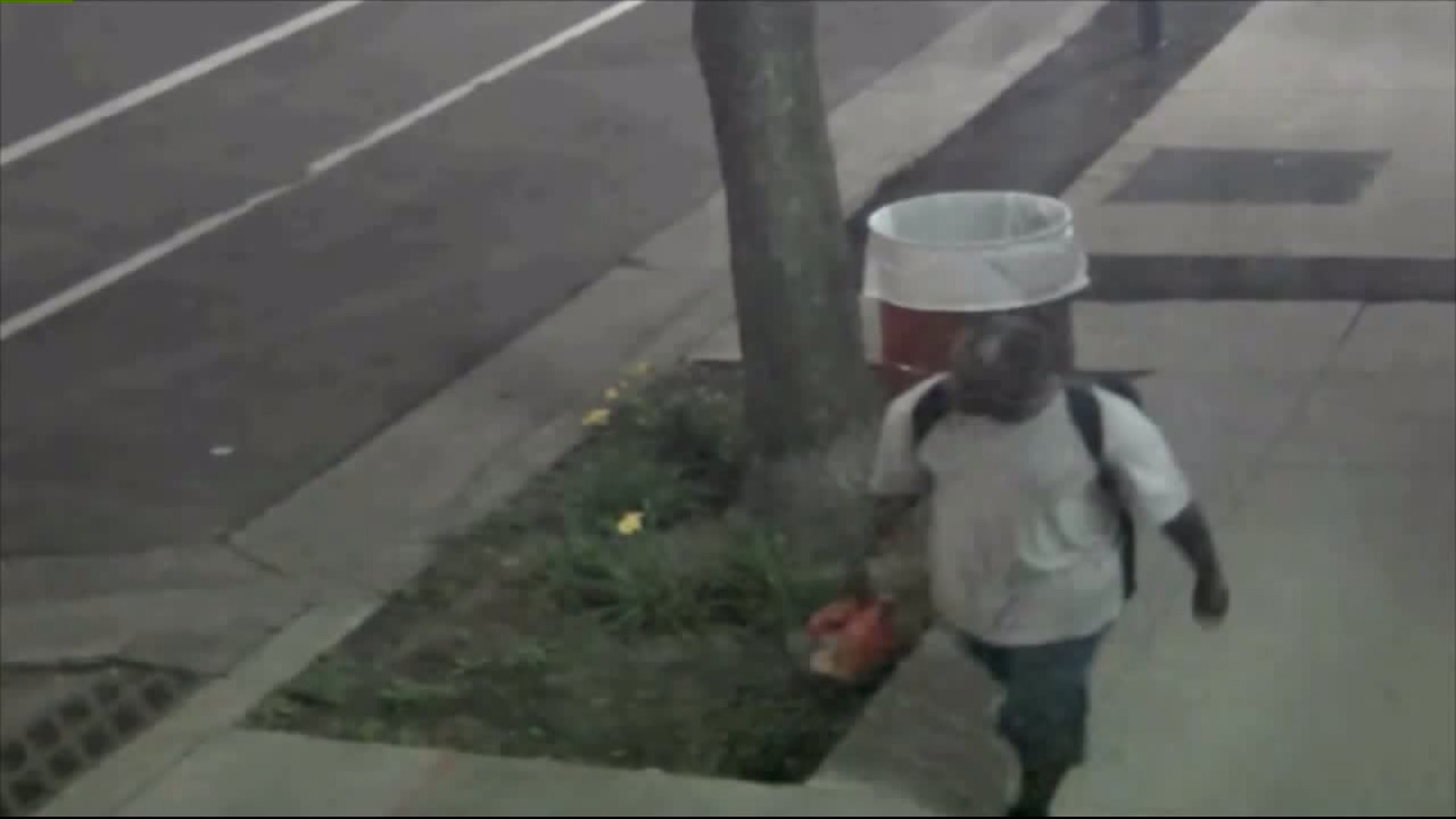 Police seek arsonist after vehicle set on fire in Third Ward