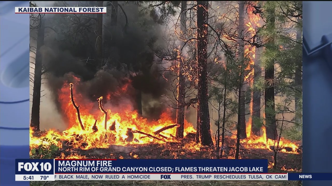 North Rim of the Grand Canyon closed due to Magnum Fire