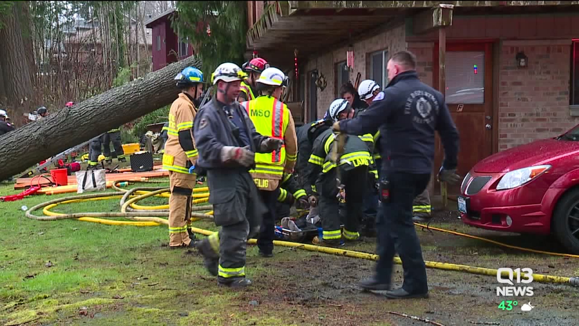 Man survives after being crushed by tree that fell onto his home