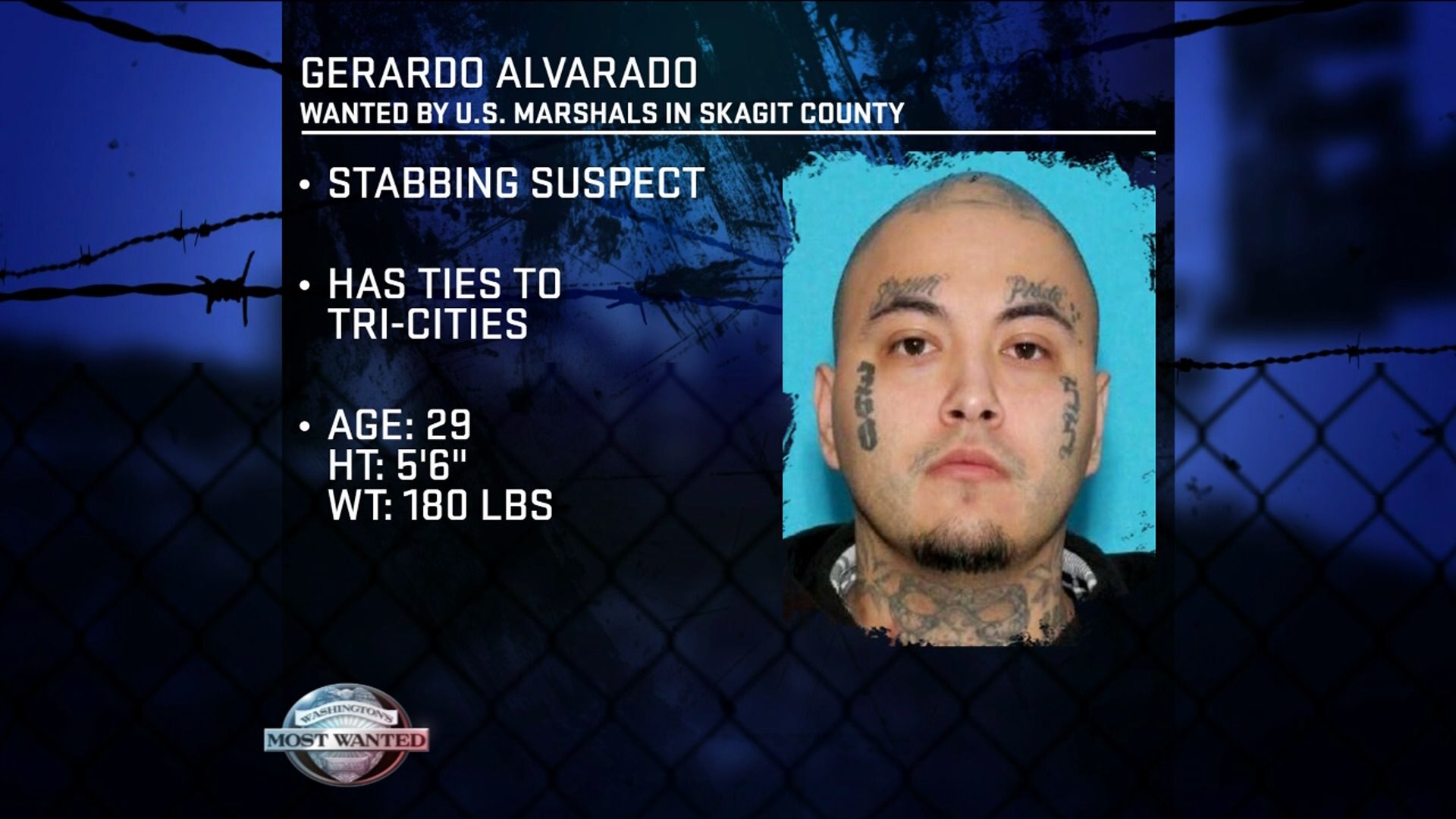 WANTED: Gerardo Alvarado