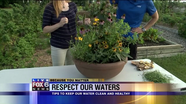 Respect our waters