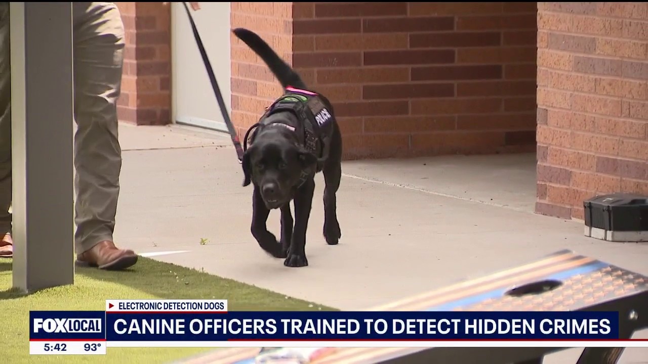 Royse City PD trains dog to detect hidden crimes