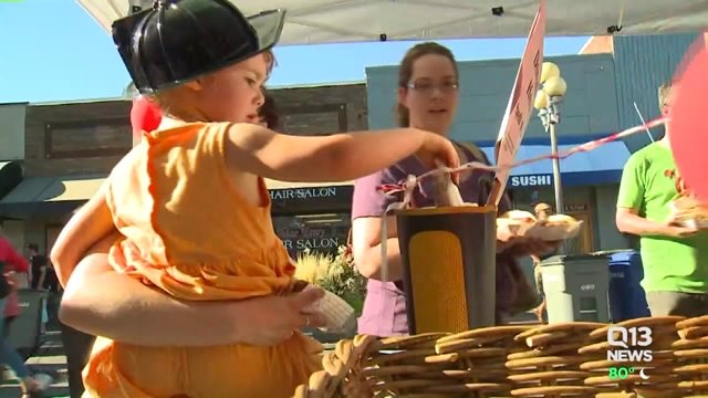 Bothell fire fund block party