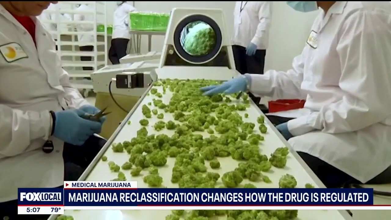 Trump admin softens classification of medical marijuana