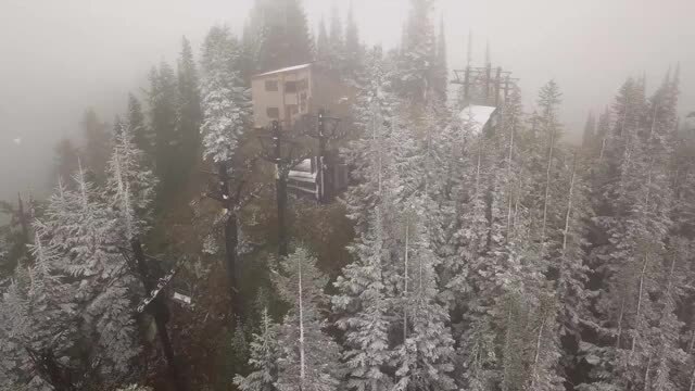 Stevens Pass snow video
