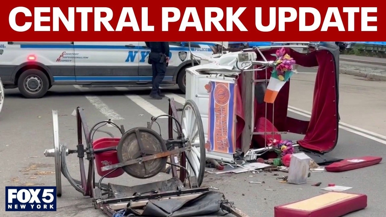 Central Park carriage horse riders temporarily stopped