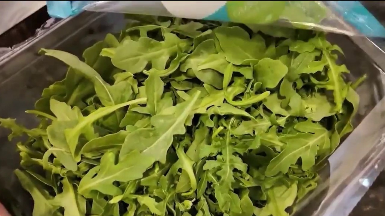 Lettuce possible source of cyclosporia