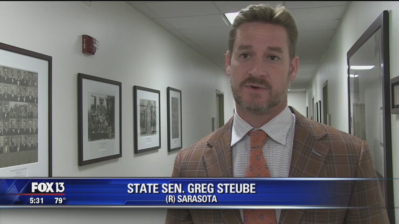 Lawmaker wants expansion of 2nd Amendment