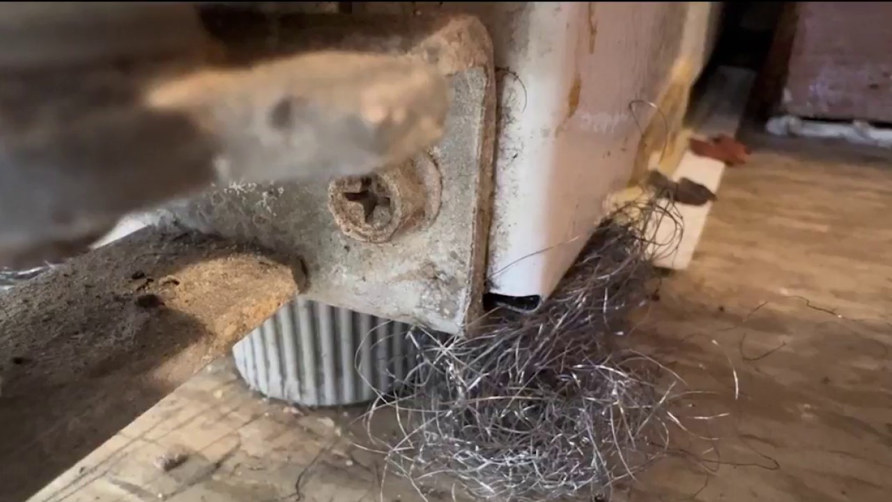 South Side apartment residents fed up with mice, roaches and water leaks