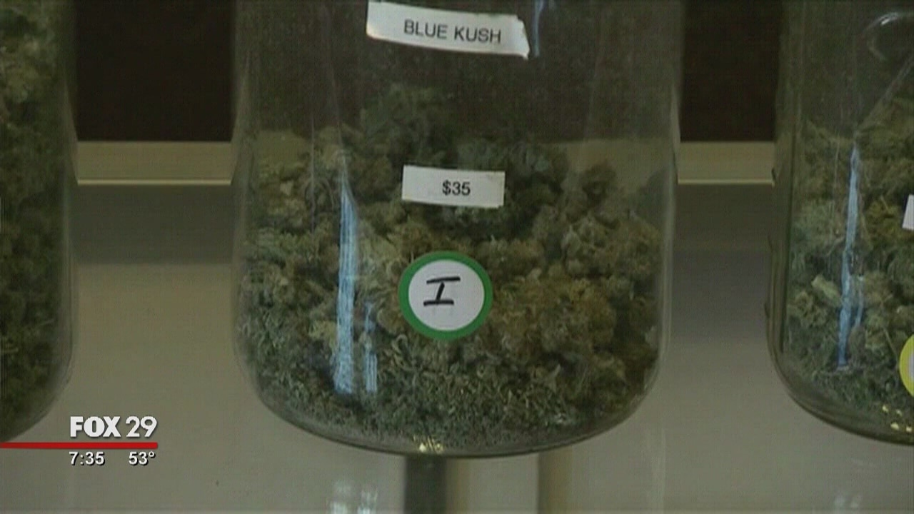 Panel: New Jersey State Senate & Assembly to vote on legalizing marijuana