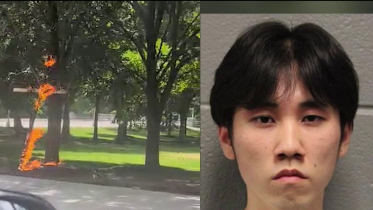Man accused of burning cross in Chicago's Grant Park released from custody