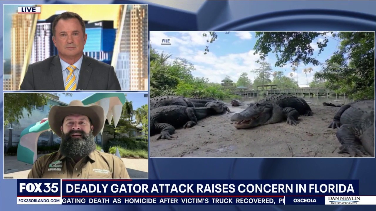 Alligator expert on Florida woman killed in attack: 'Tragic'
