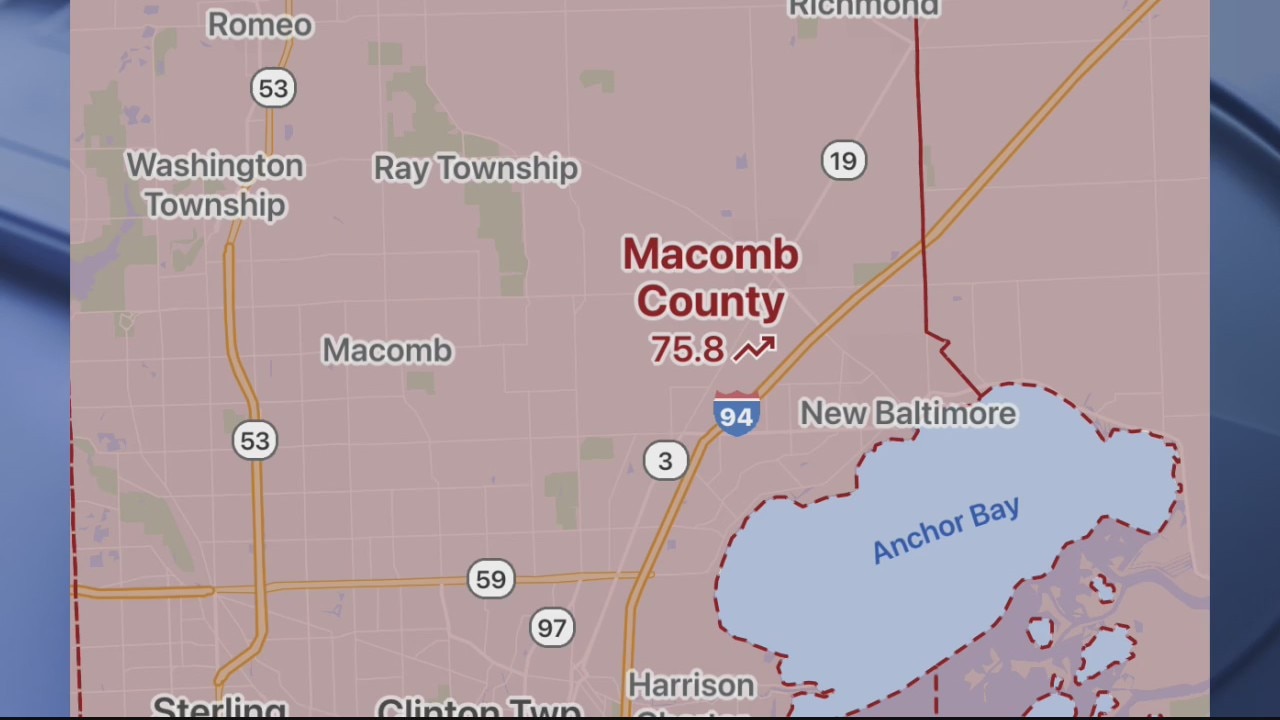 Bicycles, driving and Mexican food are most searched Google terms in our area