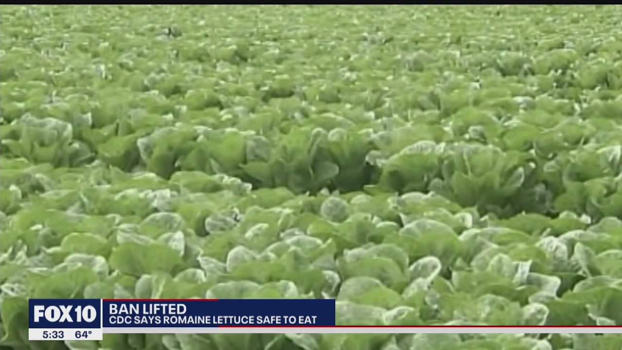 FDA: Romaine lettuce E. coli outbreaks over