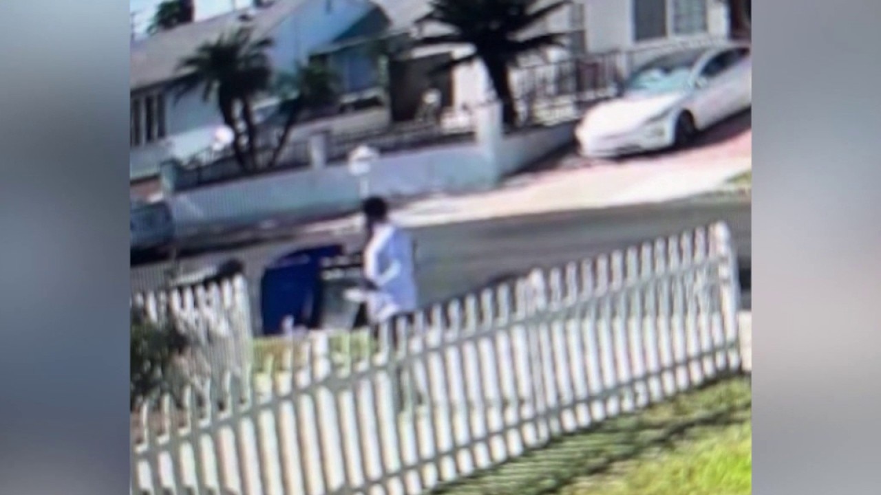 Postal carrier accused of injuring Pasadena peacock 