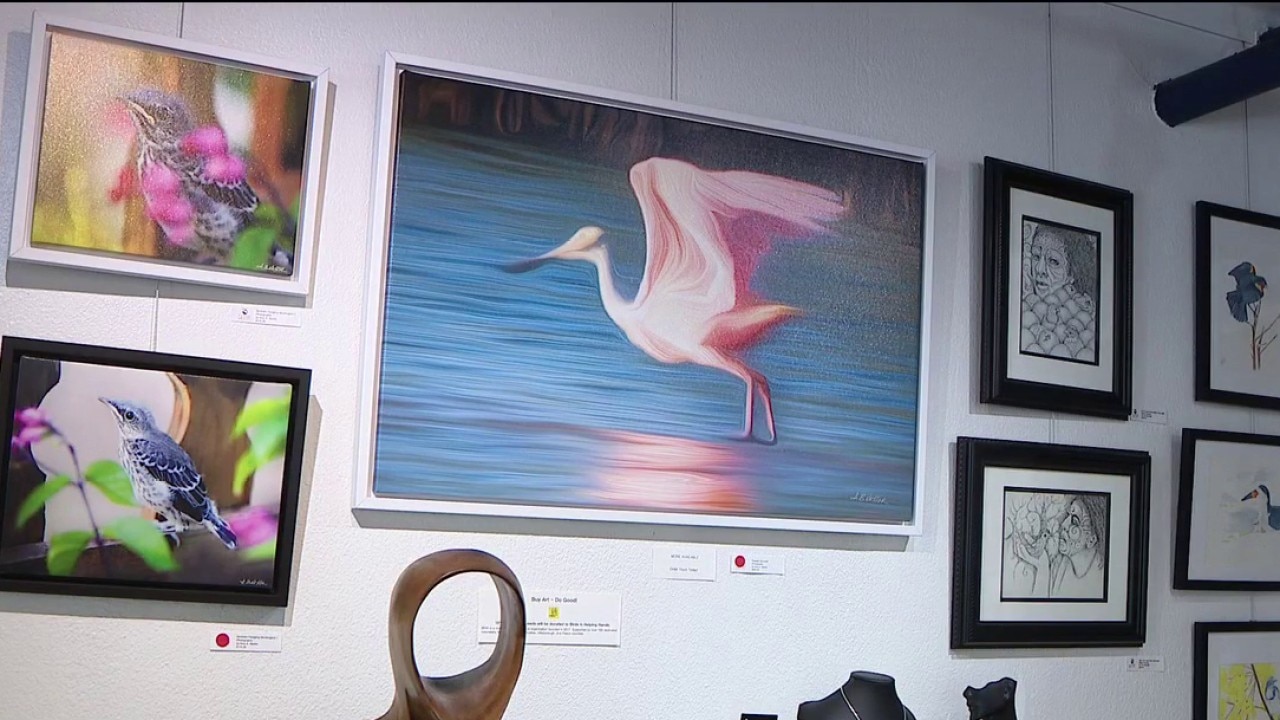 Avian art exhibit in Pinellas County