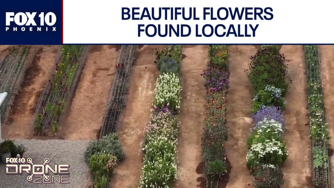Rural Stems Flower Farm | Drone Zone