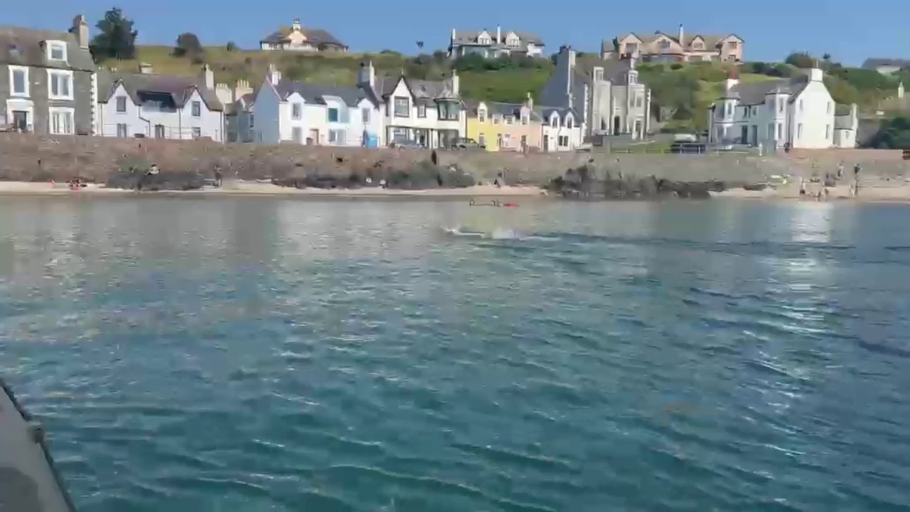 Berkeley teen swims from Ireland to Scotland