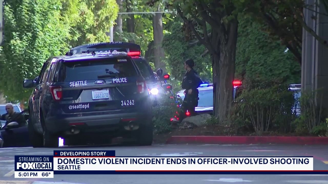 Domestic violence incident ends in officer-involved shooting