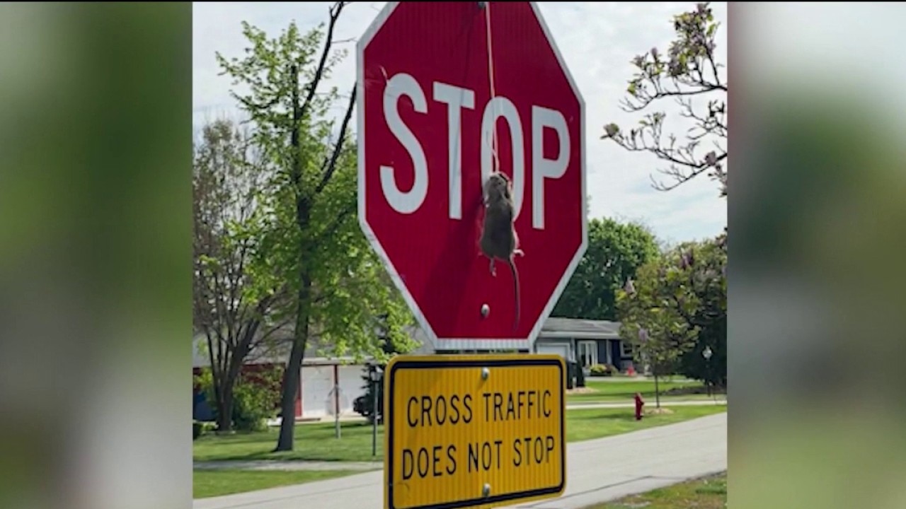 DuPage County rat infestation isn't over, and neighbors say they're facing backlash