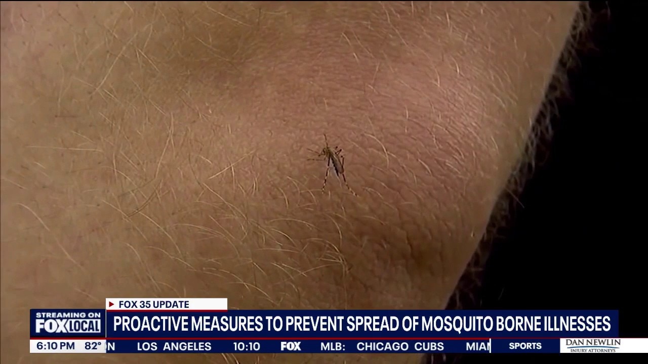 Orange County targeting mosquitos after dengue case