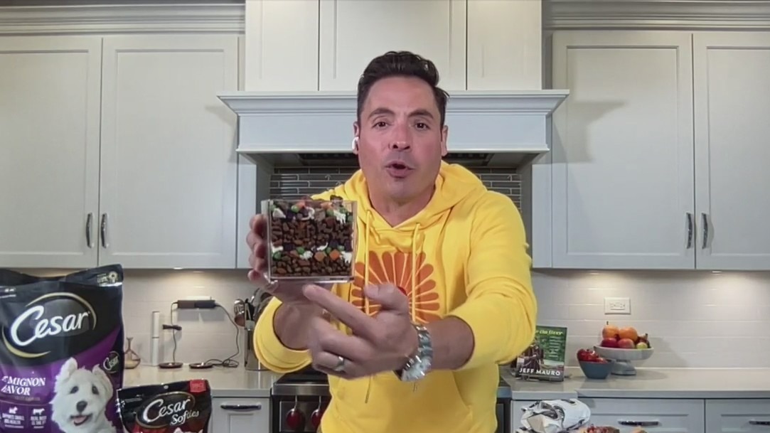 Jeff Mauro talks about the perfect gameday prep for pups