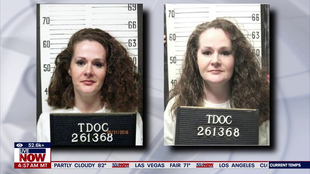 TN Gov. halts executions after woman survives lethal injection