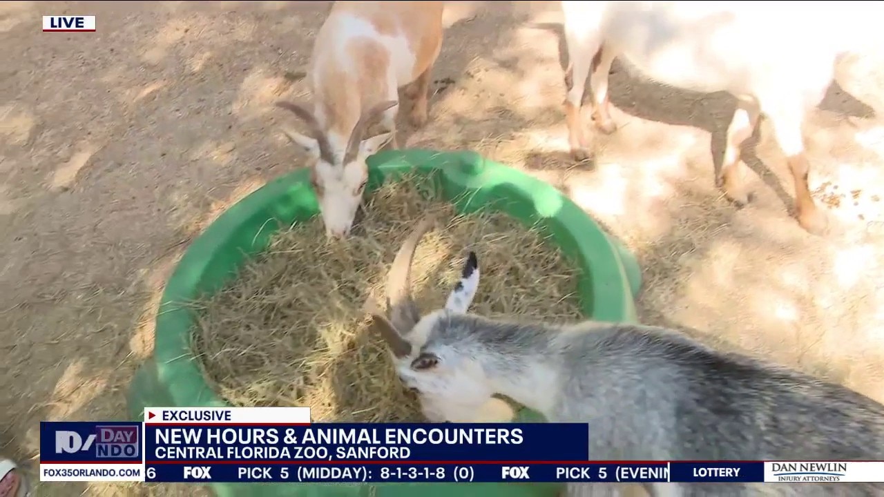 Central Florida Zoo opens a new goat encounter