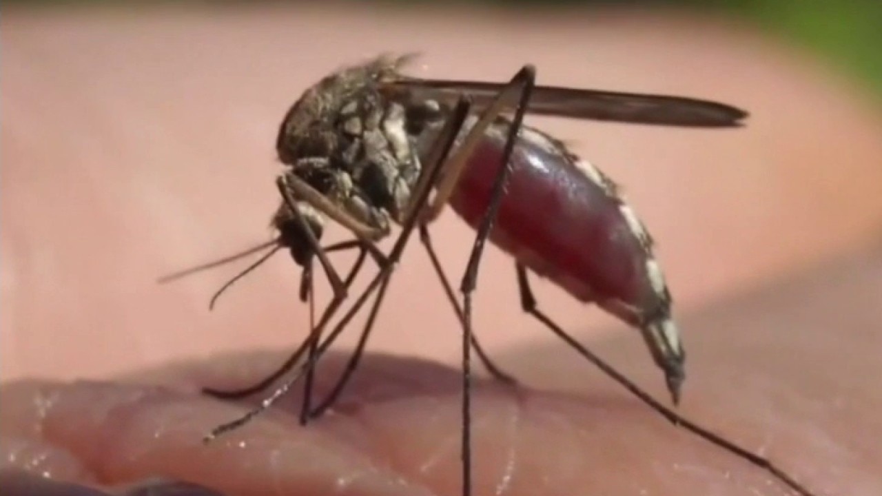 Tips to reduce risk of mosquito bites