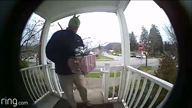 Package thief