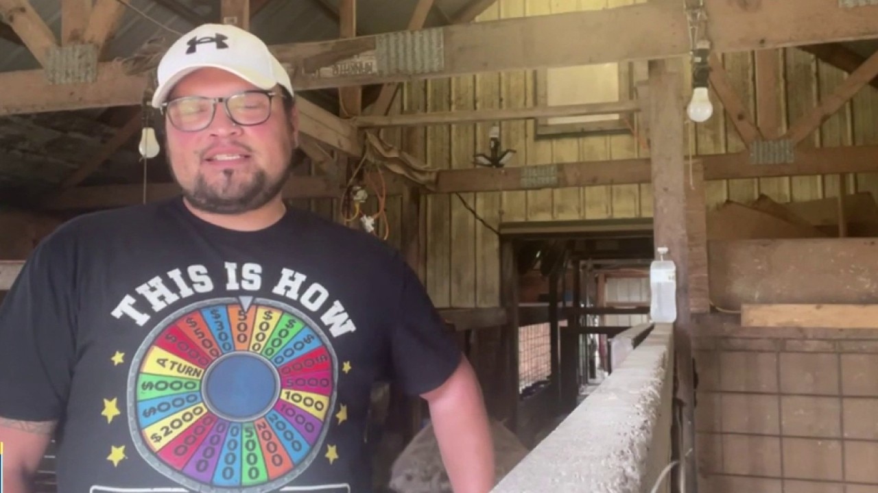 Alpaca farmer from Minnesota spins to $184,000 in five-night ‘Wheel of Fortune’ run