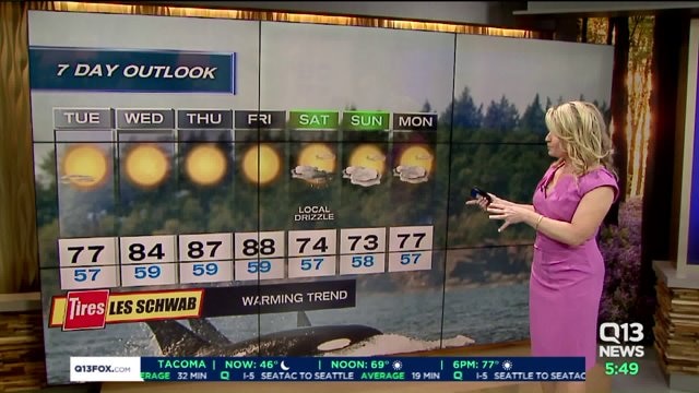 Q13 Forecast