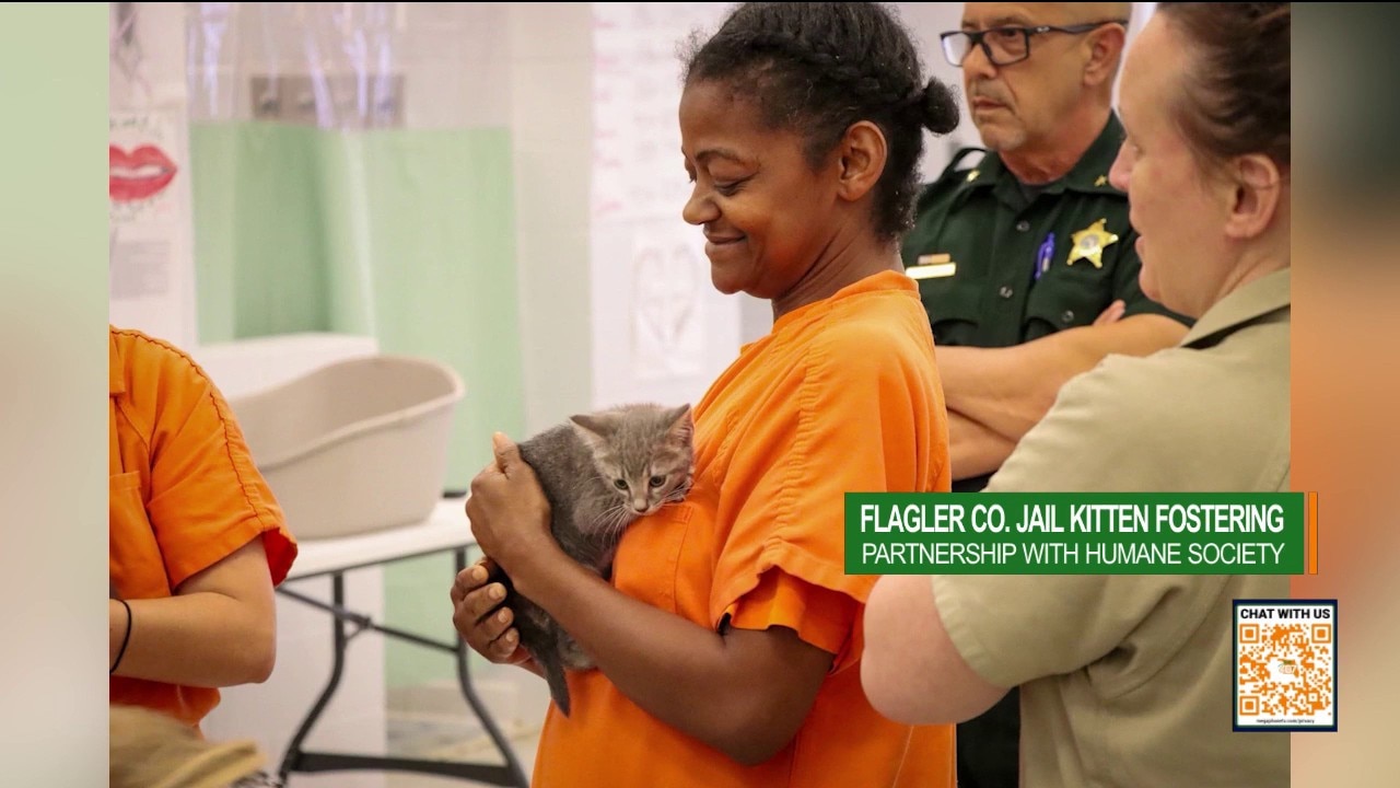 Jail Kittens Help Flagler Inmates Heal