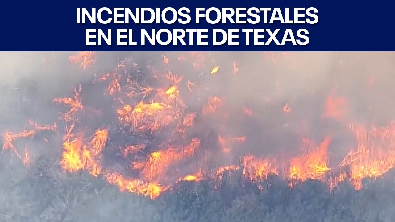 FOX 7 Español - 8/25/2026 Titulares