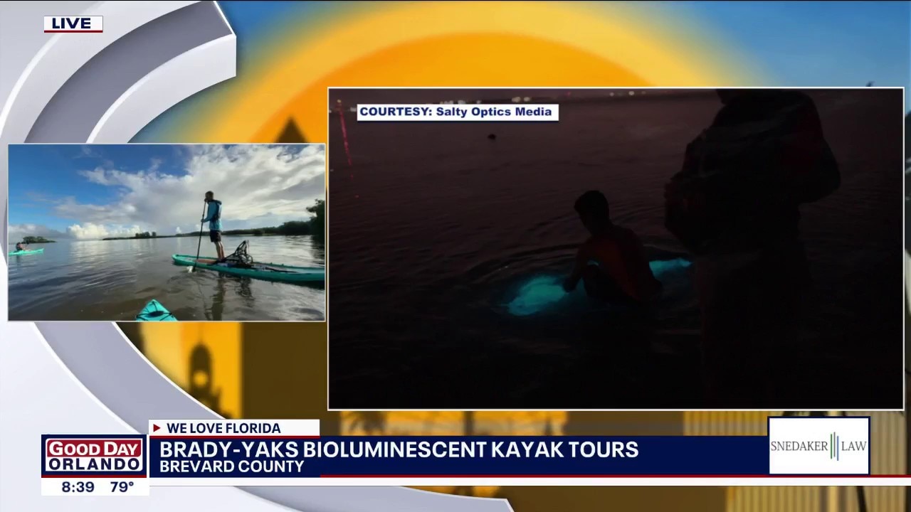 Bioluminescent kayak tours in Brevard County