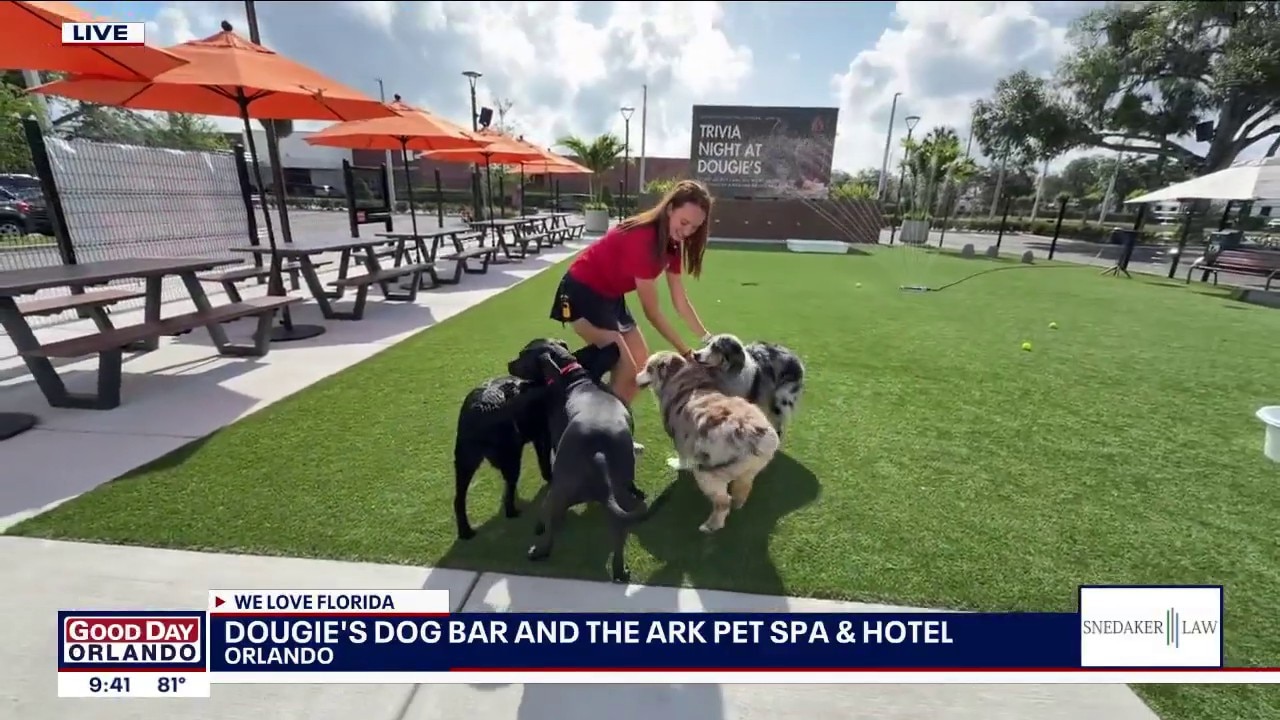 Dougie's Dog Bar and the Ark Pet Spa and Hotel