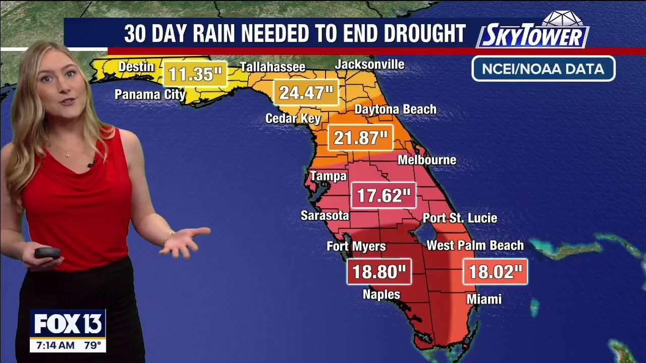 Tampa weather | Saturday morning forecast