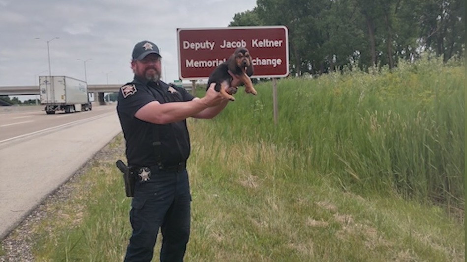 DuPage County K9 begins training program to help locate people, save lives