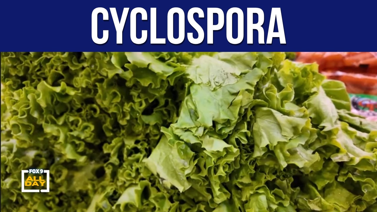 How to protect yourself from cyclospora