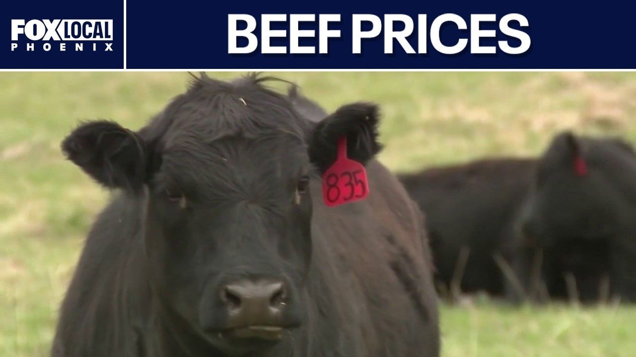 DOJ expands beef price probe as costs rise 