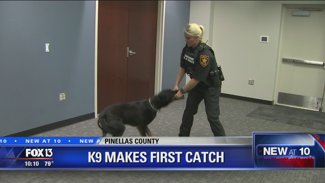 K-9 makes first catch