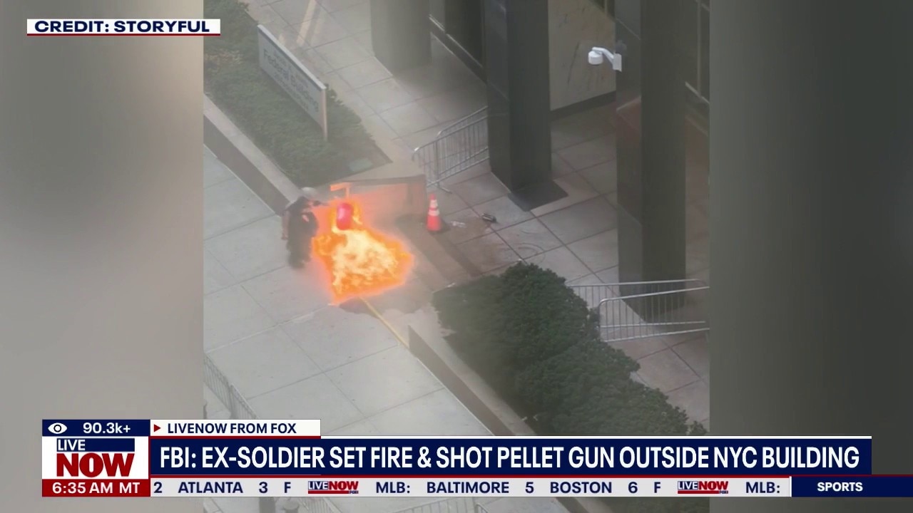Ex-soldier set fire & shot pellet gun outside building