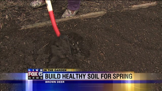 Adding compost to improve soil for spring