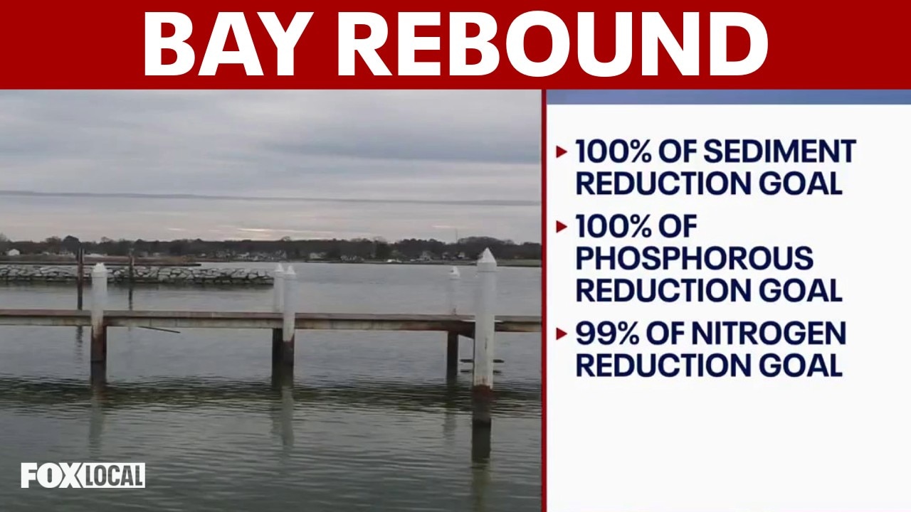 Chesapeake Bay rebounds as Maryland hits major pollution reduction goals