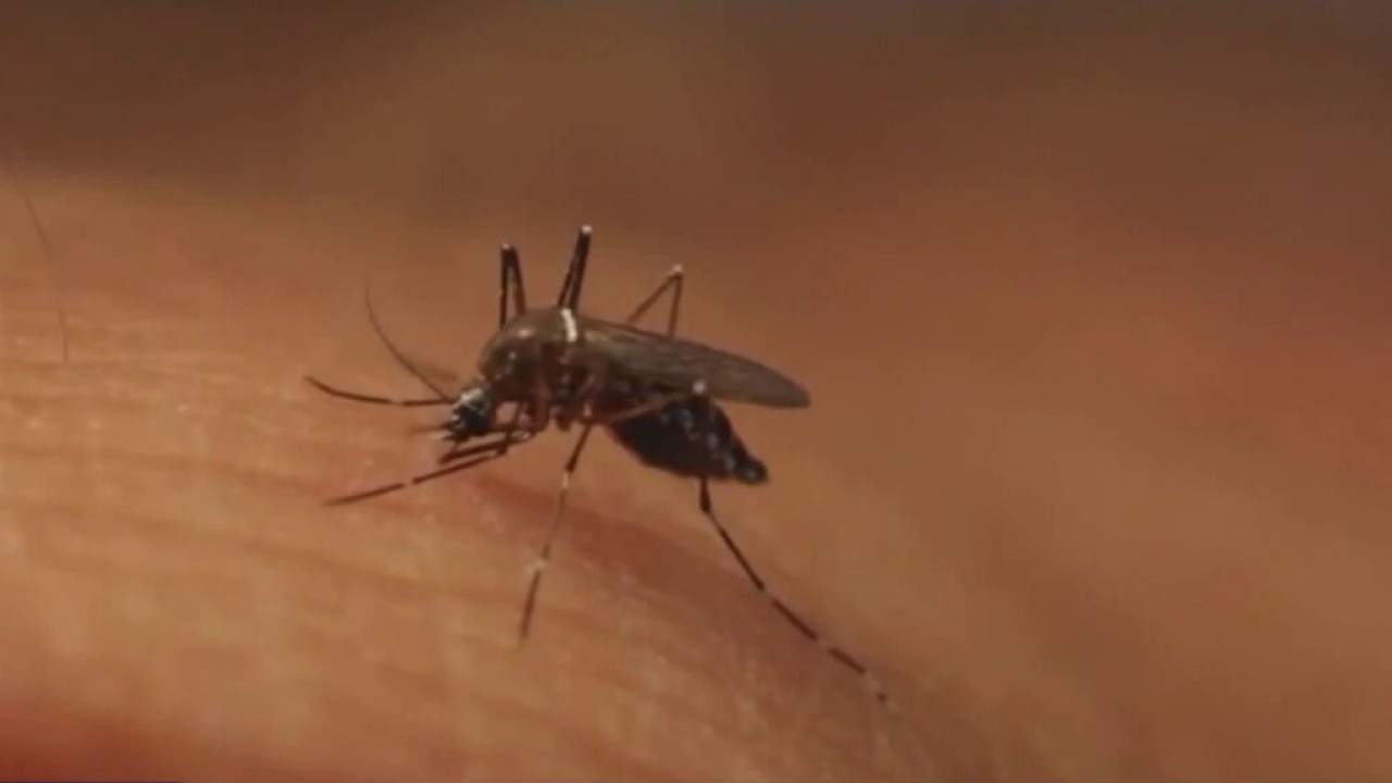 Travis County has first human case of West Nile virus