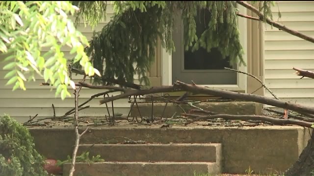 High winds, heavy rain cause damage throughout SE Wisconsin during sweep of Saturday storms