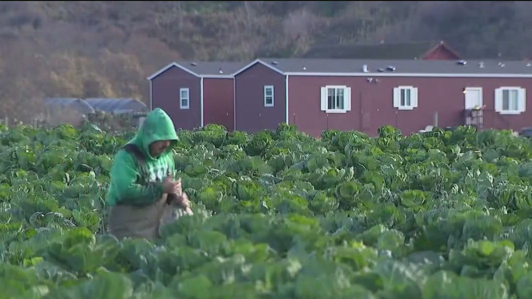 New law allows farmworker seasonal housing to be used year-round