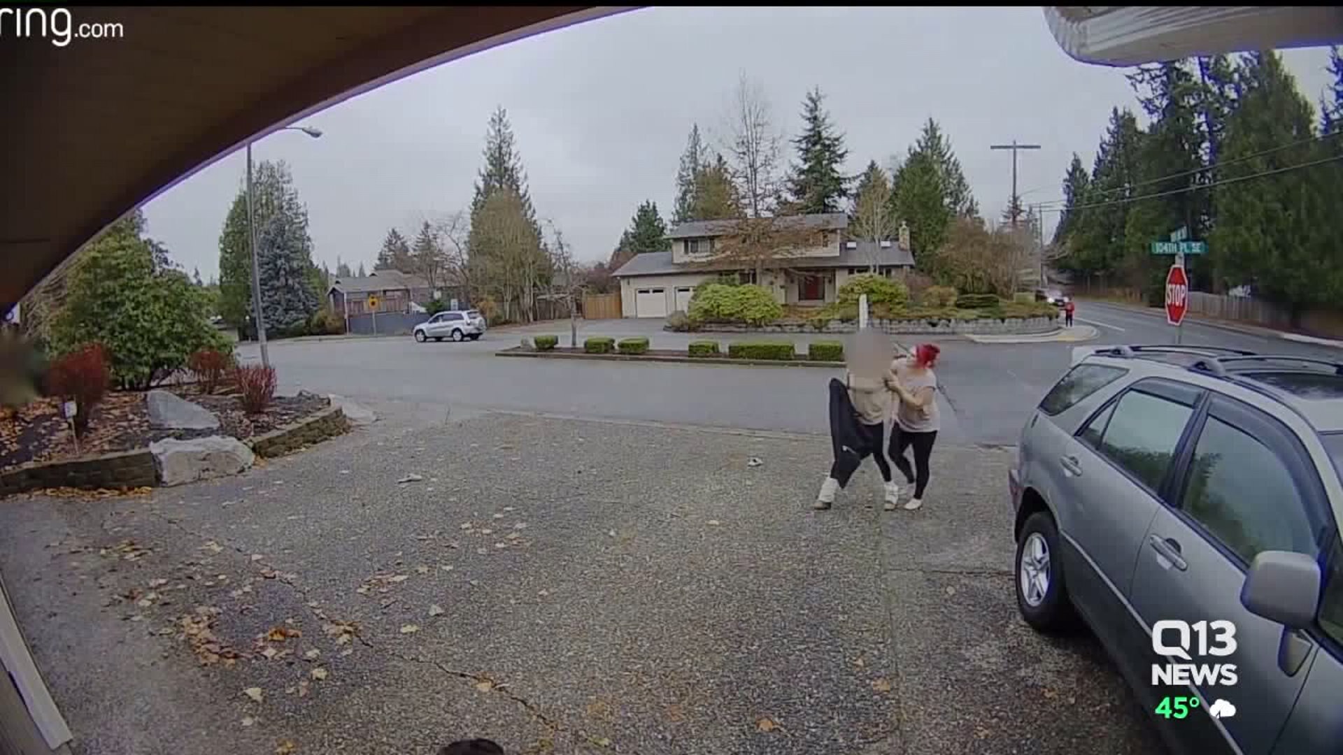 Nanny catches package thief
