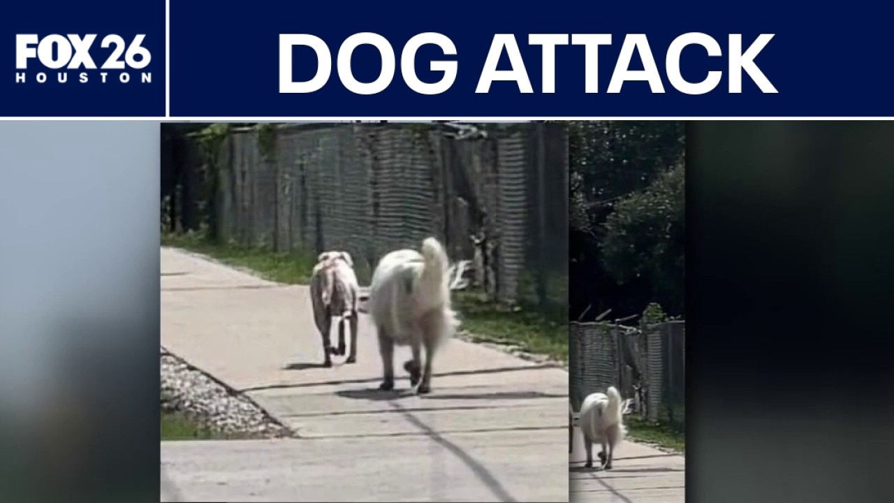 Spring couple warning about loose dog